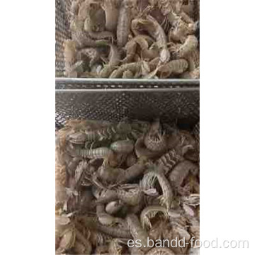 camarones de mantis fritos fritos congelados